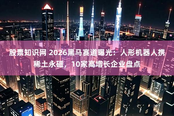 股票知识网 2026黑马赛道曝光:人形机器人携稀土永磁,10家高增长企业盘点